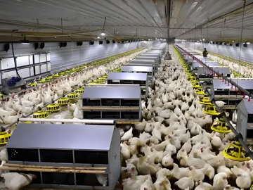 Farming industry